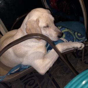 Meet your Posher, Brenna